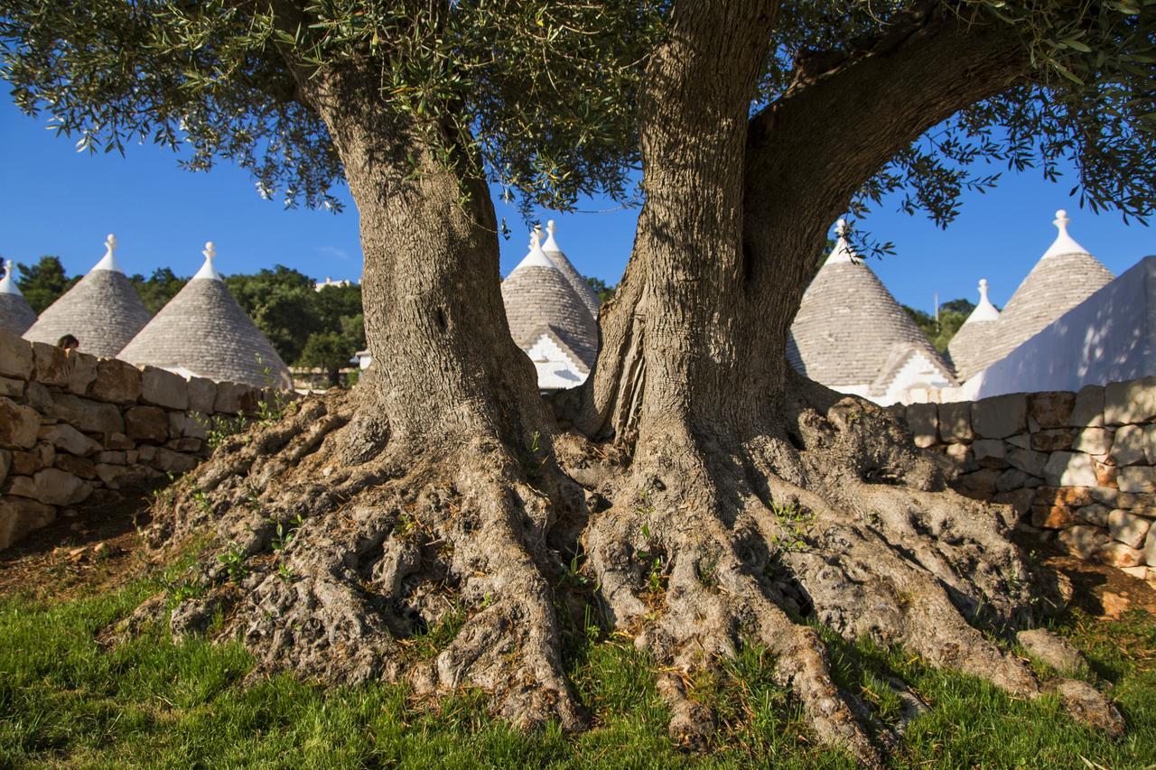Borgo Canonica Cisternino Dış mekan fotoğraf